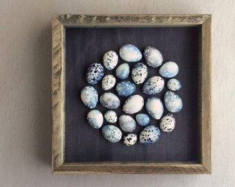 Blue speckled plaster egg framed wall art: handmade in Australia by Emily Engel