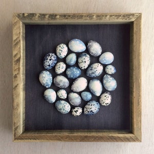 Blue speckled plaster egg framed wall art: handmade in Australia by Emily Engel image 3