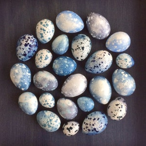 Blue speckled plaster egg framed wall art: handmade in Australia by Emily Engel image 2