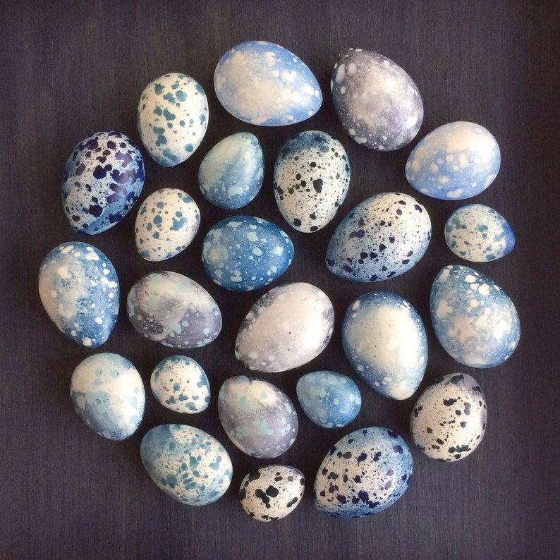 Blue speckled plaster egg framed wall art: handmade in Australia by Emily Engel image 2