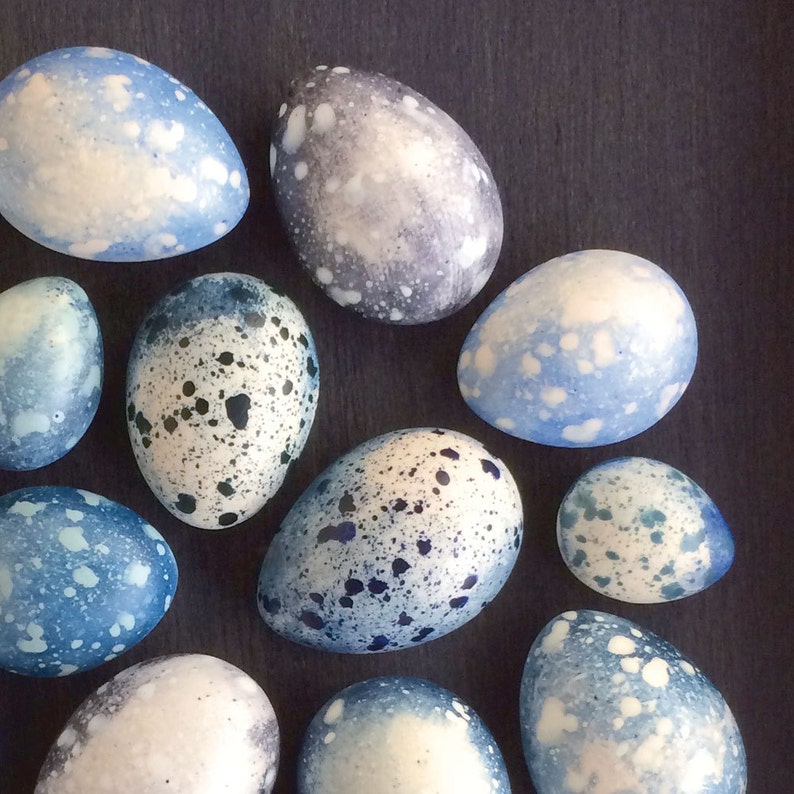 Blue speckled plaster egg framed wall art: handmade in Australia by Emily Engel image 4