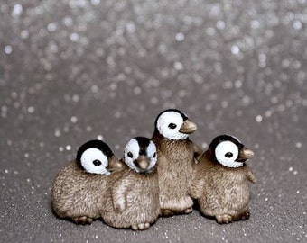 Baby Penguins - Photograph - Various Sizes
