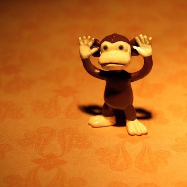 Another Little Monkey With A Big Tale To Tell - Photograph - Various Sizes