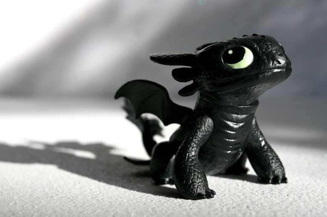 Toothless Photograph Various Sizes - Etsy