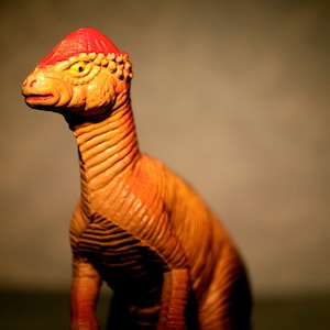 Pachycephalosaurus  - Dinosaur Photograph - Various Sizes