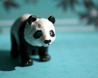 Panda - Photograph - Various Sizes