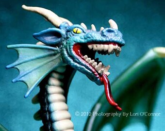 Dragon - Photograph - Various Sizes