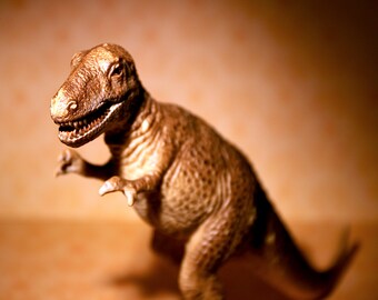 T-Rex  - Dinosaur Photograph - Various Sizes