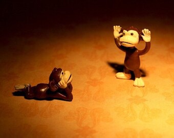 Little Monkey Tells A Big Tale - Photograph - Various Sizes