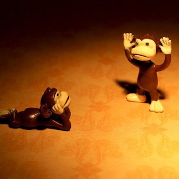 Little Monkey Tells A Big Tale - Photograph - Various Sizes