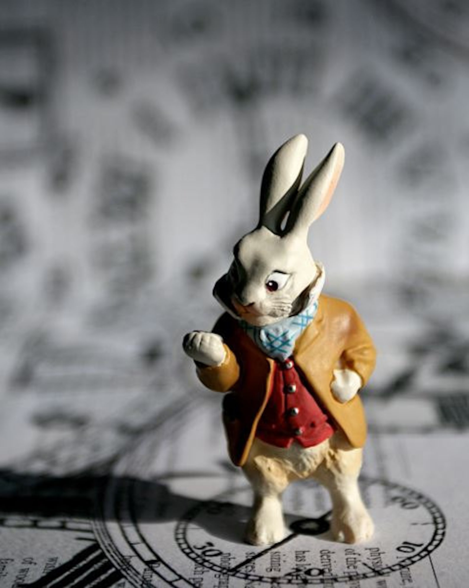 Alice in Wonderland the White Rabbit Photograph Various Sizes - Etsy
