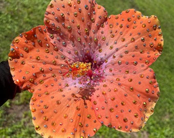 Huge Rhinestoned Orange hibiscus clip