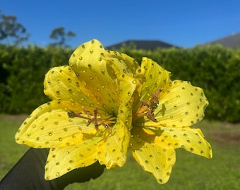 Huge Yellow Rhinestoned Double Amaryllis Clip