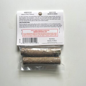K&ouml;nnte beinhalten: Eine transparente Plastikverpackung mit zwei braunen Hibiskus-Stecklingen. Die Verpackung enth&auml;lt ein wei&szlig;es Etikett mit dem Text "HIBISCUS" und Pflegehinweisen. Die Stecklinge stammen von der Pflanze Hibiscus Rosa-Sinensis.