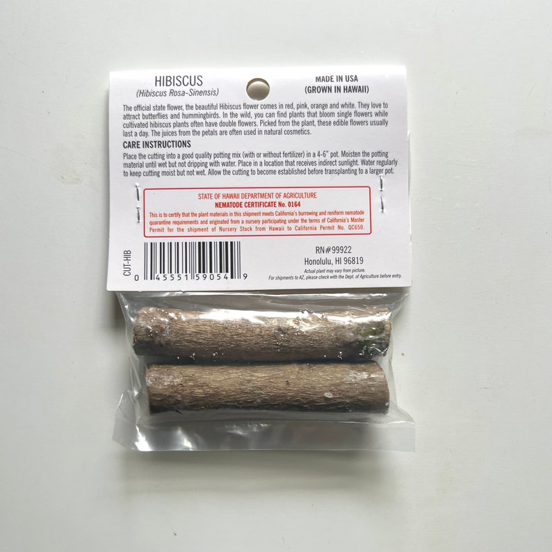 K&ouml;nnte beinhalten: Eine transparente Plastikverpackung mit zwei braunen Hibiskus-Stecklingen. Die Verpackung enth&auml;lt ein wei&szlig;es Etikett mit dem Text "HIBISCUS" und Pflegehinweisen. Die Stecklinge stammen von der Pflanze Hibiscus Rosa-Sinensis.