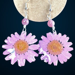 Real Pink Daisy Flower Earrings on Sterling Silver Hooks Gift for Her