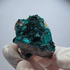 Rare Dioptase XX, Mottramite on Matrix Stage, Tsumeb Mine, Namibia, 41*34*19 mm