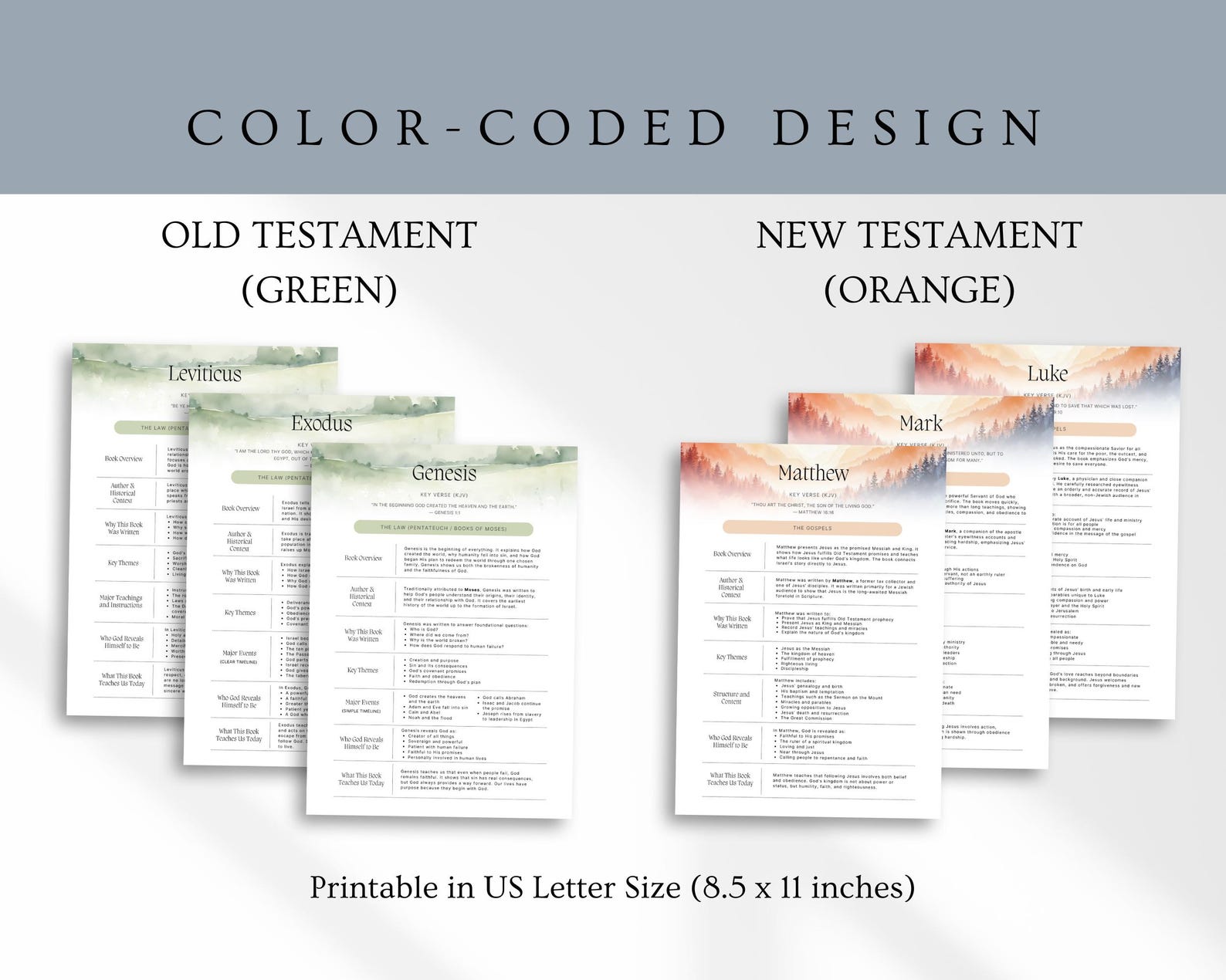 Bible Overview Guide | Printable Book Summaries (PDF/PNG Download) - Etsy