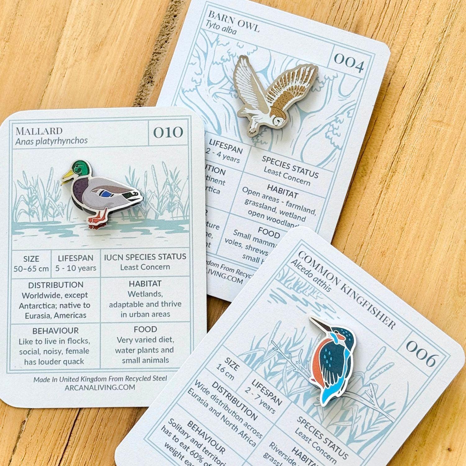 Bird Life Pin Badge Set - Barn Owl, Mallard Duck, Kingfisher - Bird Lover Gift
