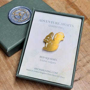 May include: A gold-coloured metal pin featuring a red squirrel in a sitting position. The pin is in a green box with the text "Adventure Awaits Charm Pin" and "Red Squirrel Sciurus vulgaris" on the box. The text "Arcanaliving.com Made in United Kingdom From Recycled Brass" is also on the box.