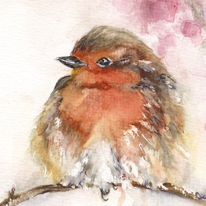 Robin - A5 fine art print; Watercolour Robin red breast, loose style painting, pink blossoms, springtime, garden birds, European birds