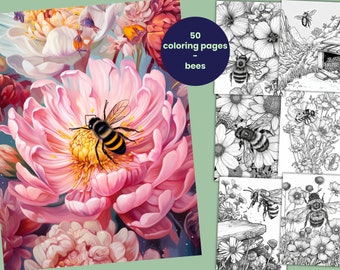 50 Bienen-Malvorlagen, Insekten-Malvorlagen, Malbuch für Erwachsene und Kinder, druckbare PDF-Malblätter