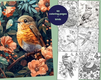 50 páginas para colorear de pájaros, libro para colorear de pájaros para niños y adultos, PDF para descarga inmediata