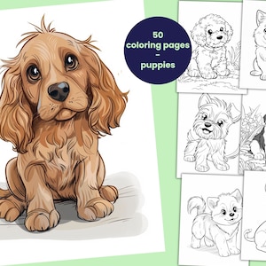 Puede incluir: Un libro para colorear con 50 p&aacute;ginas con adorables cachorros. La portada muestra un lindo cachorro marr&oacute;n y blanco con ojos grandes y orejas ca&iacute;das. El t&iacute;tulo del libro es "50 p&aacute;ginas para colorear - cachorros".