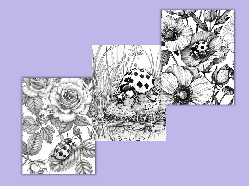 K&ouml;nnte beinhalten: Drei Schwarzwei&szlig;illustrationen mit Marienk&auml;fern und Blumen. Das erste Bild zeigt einen Marienk&auml;fer auf einem Blatt mit Rosen im Hintergrund. Das zweite Bild zeigt einen Marienk&auml;fer auf einem Stein mit Seerosen und Wasser im Hintergrund. Das dritte Bild zeigt einen Marienk&auml;fer auf einer Blume mit anderen Blumen im Hintergrund.