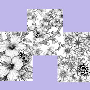 K&ouml;nnte beinhalten: Vier Schwarzwei&szlig;illustrationen von verschiedenen Blumen mit Marienk&auml;fern. Das erste Bild zeigt eine Hibiskusbl&uuml;te, das zweite zeigt Kirschbl&uuml;ten, das dritte zeigt G&auml;nsebl&uuml;mchen und das vierte zeigt eine Hibiskusbl&uuml;te.