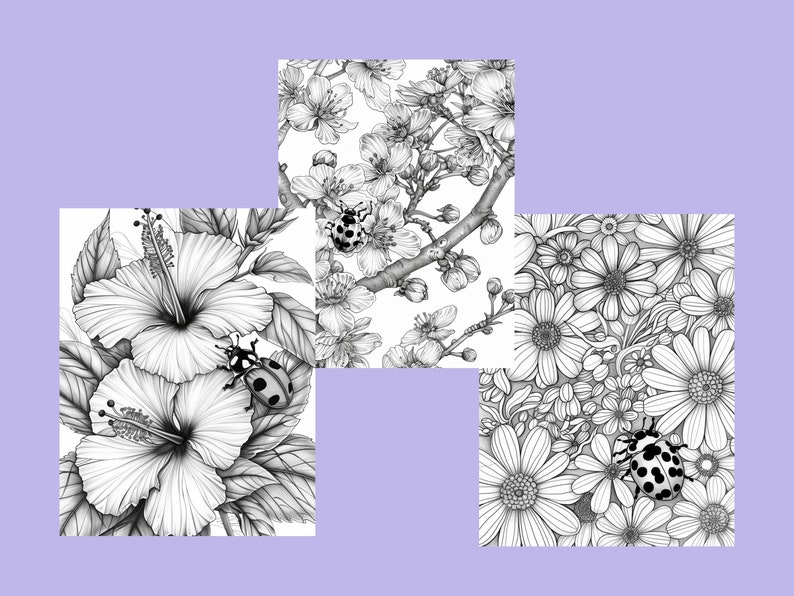 K&ouml;nnte beinhalten: Vier Schwarzwei&szlig;illustrationen von verschiedenen Blumen mit Marienk&auml;fern. Das erste Bild zeigt eine Hibiskusbl&uuml;te, das zweite zeigt Kirschbl&uuml;ten, das dritte zeigt G&auml;nsebl&uuml;mchen und das vierte zeigt eine Hibiskusbl&uuml;te.