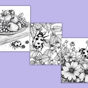 K&ouml;nnte beinhalten: Drei Schwarzwei&szlig;illustrationen von Marienk&auml;fern. Das erste Bild zeigt einen Marienk&auml;fer auf einem Teller mit Obst. Das zweite Bild zeigt einen Marienk&auml;fer auf einem Blatt. Das dritte Bild zeigt einen Marienk&auml;fer auf einer Blume.