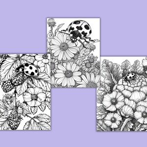 K&ouml;nnte beinhalten: Drei Schwarzwei&szlig;illustrationen von Marienk&auml;fern auf Blumen. Das erste Bild zeigt einen Marienk&auml;fer auf einem Brombeerstrauch mit wei&szlig;en Bl&uuml;ten. Das zweite Bild zeigt einen Marienk&auml;fer auf einer G&auml;nsebl&uuml;mchen. Das dritte Bild zeigt einen Marienk&auml;fer auf einer gro&szlig;en wei&szlig;en Blume.