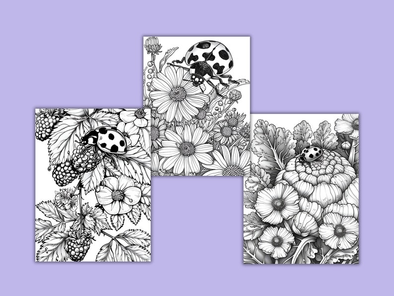 K&ouml;nnte beinhalten: Drei Schwarzwei&szlig;illustrationen von Marienk&auml;fern auf Blumen. Das erste Bild zeigt einen Marienk&auml;fer auf einem Brombeerstrauch mit wei&szlig;en Bl&uuml;ten. Das zweite Bild zeigt einen Marienk&auml;fer auf einer G&auml;nsebl&uuml;mchen. Das dritte Bild zeigt einen Marienk&auml;fer auf einer gro&szlig;en wei&szlig;en Blume.