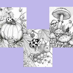 K&ouml;nnte beinhalten: Drei Schwarzwei&szlig;illustrationen mit herbstlichen Motiven. Das erste Bild zeigt einen K&uuml;rbis mit einem Marienk&auml;fer an einer Rebe. Das zweite Bild zeigt einen Marienk&auml;fer auf einem Zweig mit Beeren und Bl&auml;ttern. Das dritte Bild zeigt eine Ansammlung von Pilzen mit einem Marienk&auml;fer.