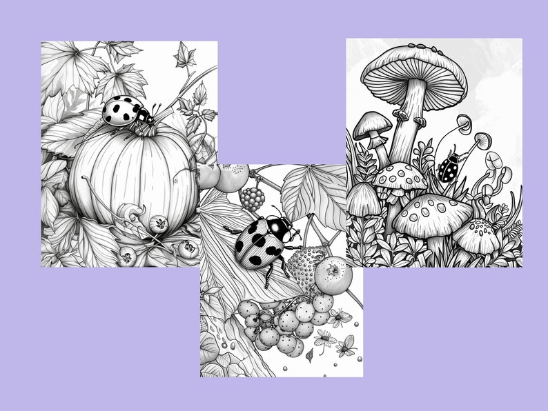K&ouml;nnte beinhalten: Drei Schwarzwei&szlig;illustrationen mit herbstlichen Motiven. Das erste Bild zeigt einen K&uuml;rbis mit einem Marienk&auml;fer an einer Rebe. Das zweite Bild zeigt einen Marienk&auml;fer auf einem Zweig mit Beeren und Bl&auml;ttern. Das dritte Bild zeigt eine Ansammlung von Pilzen mit einem Marienk&auml;fer.