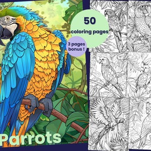 50 coloring pages of parrots, macaws, coloring book for adults and children, PDF coloring sheets for immediate download
