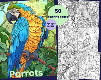 50 pages à colorier de perroquets, d'aras, livre de coloriage pour adultes et enfants, feuilles à colorier PDF en téléchargement immédiat