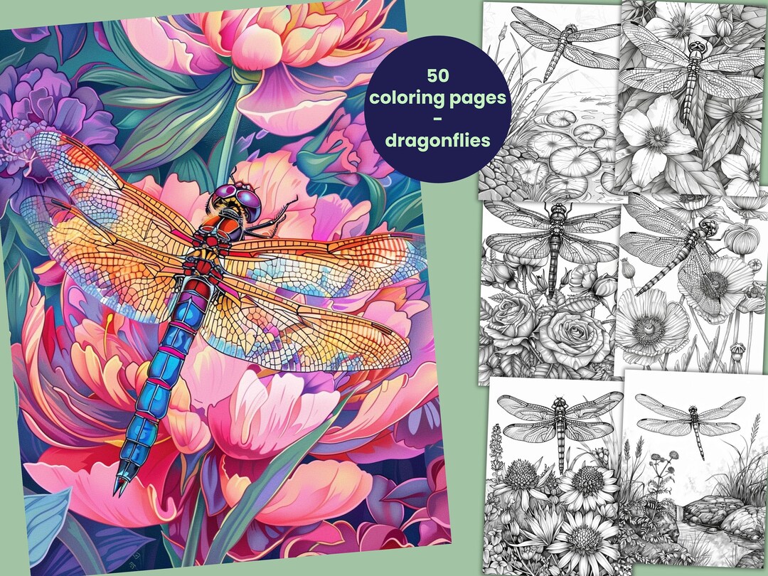50 Dragonfly Coloring Pages, Insect Coloring, Coloring Book for Adults