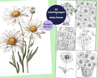 50 páginas para colorear de flores de margarita, libro para colorear para adultos y niños, hojas para colorear digitales imprimibles