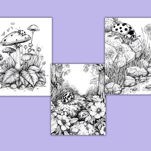 K&ouml;nnte beinhalten: Drei Schwarzwei&szlig;illustrationen mit Marienk&auml;fern und Pilzen. Das erste Bild zeigt einen Marienk&auml;fer auf einem Pilz mit anderen Pilzen im Hintergrund. Das zweite Bild zeigt einen Marienk&auml;fer auf einem Stein mit Blumen und Bl&auml;ttern. Das dritte Bild zeigt einen Marienk&auml;fer auf einem Stein mit einem Bach im Hintergrund.