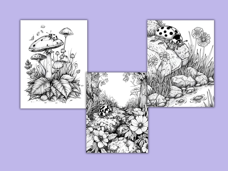 K&ouml;nnte beinhalten: Drei Schwarzwei&szlig;illustrationen mit Marienk&auml;fern und Pilzen. Das erste Bild zeigt einen Marienk&auml;fer auf einem Pilz mit anderen Pilzen im Hintergrund. Das zweite Bild zeigt einen Marienk&auml;fer auf einem Stein mit Blumen und Bl&auml;ttern. Das dritte Bild zeigt einen Marienk&auml;fer auf einem Stein mit einem Bach im Hintergrund.
