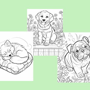 Puede incluir: Ilustraciones en blanco y negro de tres razas de perros diferentes. Un cachorro durmiendo en una almohada, un cachorro golden retriever sentado en un jard&iacute;n y un cachorro bulldog sentado en la hierba.