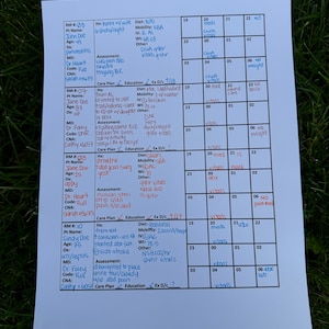 May include: A white sheet of paper with handwritten notes on it. The notes are organized in a table format with headings such as "RM #", "Pt Name", "Age", "Dx", "MD", "Code", "CNA", "Hx", "Assessment", "Diet", "Mobility", "IV", "W", "Other", "Care Plan", "Education", "Ex D/c". The notes appear to be medical records.