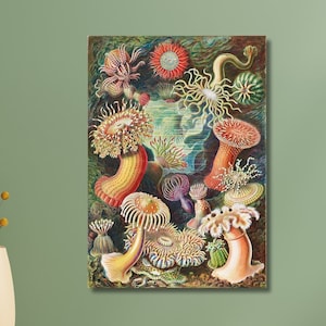 Ernst Haeckel Canvas Wall Art,Ernst Haeckel Animals Nature Print Art,Ocean Wall Art,Nautical Wall Art,Vintage Poster,Fine Art Poster