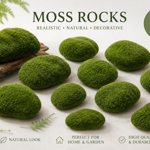 May include: Ten green moss rocks with a natural look, perfect for home and garden decor. The image includes the text "MOSS ROCKS" and "10 PCS". The rocks are realistic and durable.
