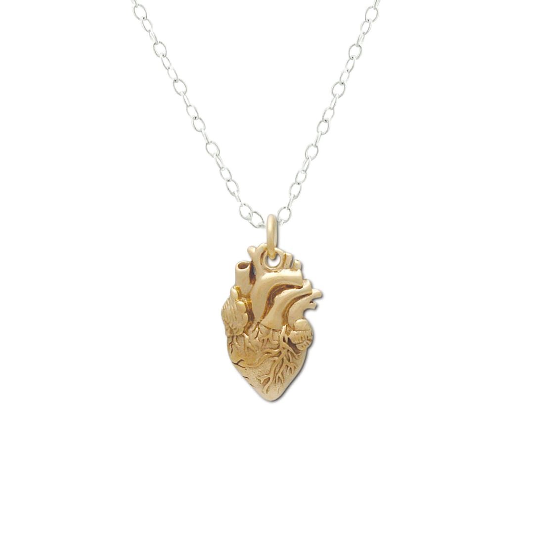Anatomical Heart Necklace Human Heart Anatomically Correct Etsy
