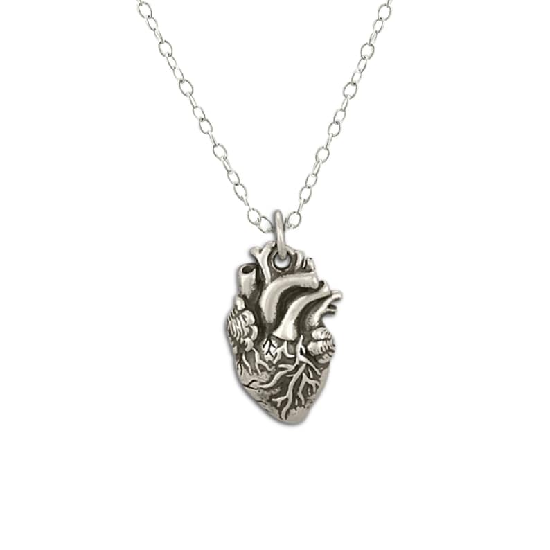 Anatomically Correct Heart Necklace, Anatomical Human Life Like, Sterling Silver Jewelry Womens Gift for doctor or nurse, I Carry Your Heart image 1