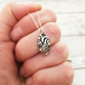 Anatomically Correct Heart Necklace, Anatomical Human Life Like, Sterling Silver Jewelry Womens Gift for doctor or nurse, I Carry Your Heart image 2