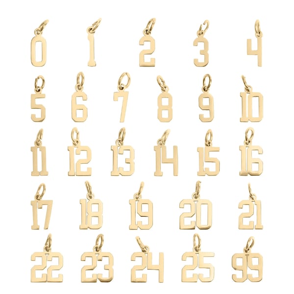 Stainless Steel Number Charm, Sports Collegiate Style, Personalized Gift
